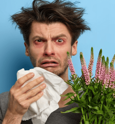 imagen_2025-08-04_210303047-min