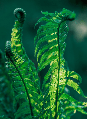 imagen_2025-08-04_211628909-min