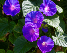 imagen_2025-08-04_213956775-min