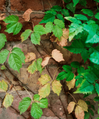 imagen_2025-08-04_214203466-min