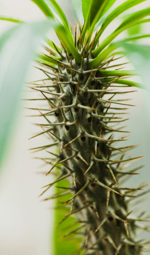 imagen_2025-08-04_214454507-min