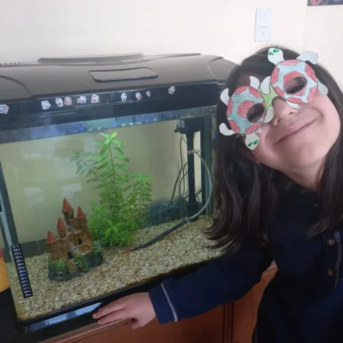 WhatsApp Image 2021-06-15 at 12.47.29(1)